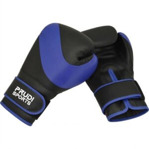 Boxing Gloves 2
